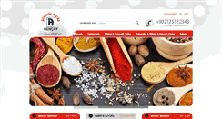 Desktop Screenshot of gencaybaharat.com