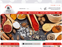 Tablet Screenshot of gencaybaharat.com